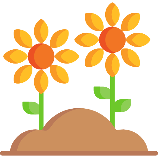 Sunflower icon