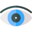 Vision icon 64x64