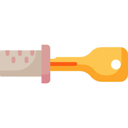 Key icon