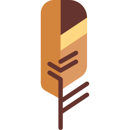 Feather icon