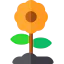 Flower icon 64x64