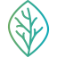 Leaf icon 64x64