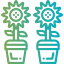 Spring icon 64x64