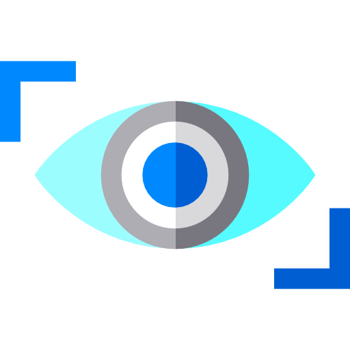 Vision icon