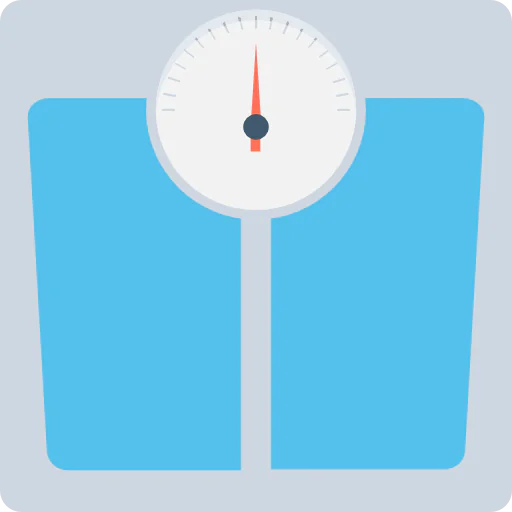 Scale icon