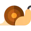 Snail icon 64x64