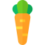 Carrot icon 64x64