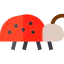 Ladybug icon 64x64