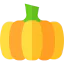 Pumpkin icon 64x64