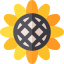 Sunflower icon 64x64