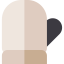 Mitten icon 64x64