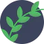 Olive icon 64x64