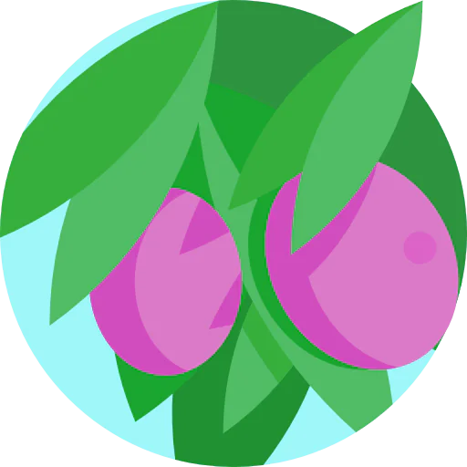 Olive icon