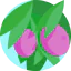 Olive icon 64x64