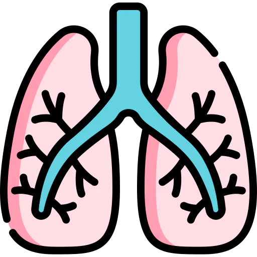 Lungs icon