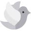 Dove icon 64x64