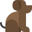 Pet icon 64x64