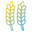Grain icône 64x64