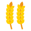 Grain icône 64x64
