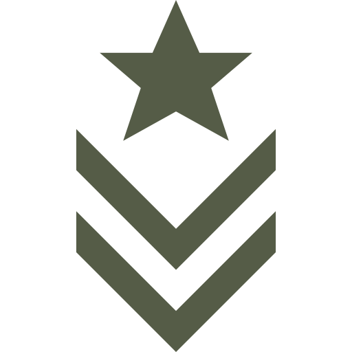 Badge icon