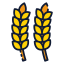 Grain icône 64x64