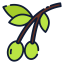 Olive icon 64x64