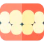 Denture icon 64x64