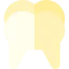 Tooth icon 64x64