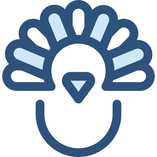 Turkey icon