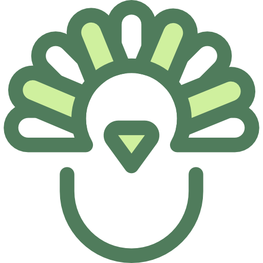 Turkey icon