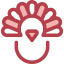 Turkey icon 64x64
