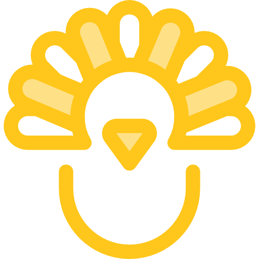 Turkey icon