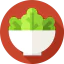 Salad icon 64x64