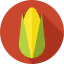 Corn icon 64x64