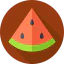 Watermelon icon 64x64