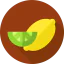 Lemon icon 64x64