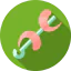 Shrimps icon 64x64