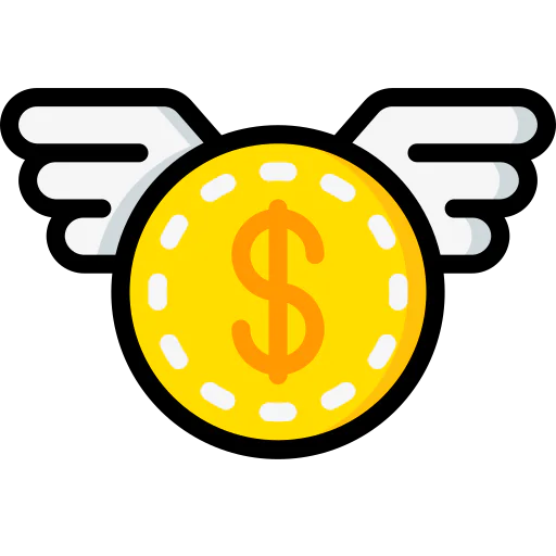 Coin icon