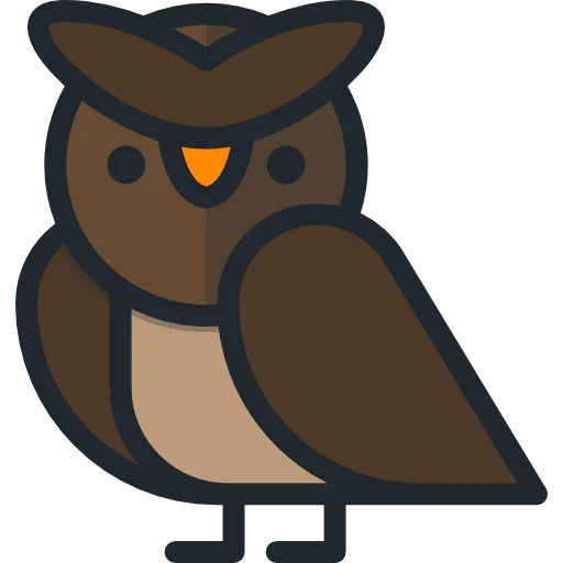 Owl icon