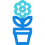 Flower icon 64x64