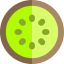 Kiwi icon 64x64