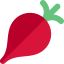 Radish icon 64x64