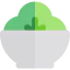 Salad icon 64x64