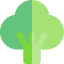 Broccoli icon 64x64