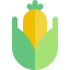 Corn icon 64x64