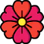Flower icon 64x64