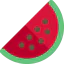 Watermelon icon 64x64