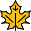 Leaf icon 64x64