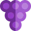 Grapes icon 64x64