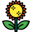 Sunflower icon 64x64